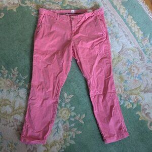 GAP Women Sz 16 Pants Pink Kiss Girlfriend Twill Stripe Chino 97% Cotton MidRise